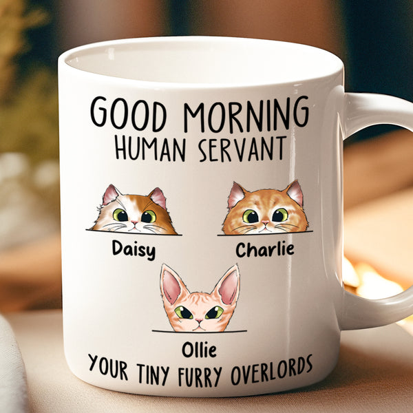 Goodmorning Human - Customized Personalized Mug - Funny Gift For Cat Pet Lover Cat Mom Cat Dad