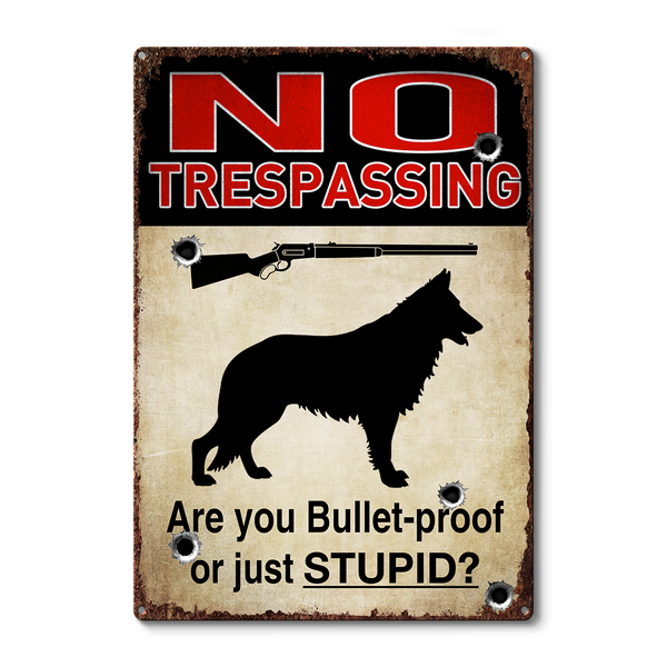 Custom Dog Warning Sign No Trespassing Outdoors Decor Personalized Custom Metal Sign