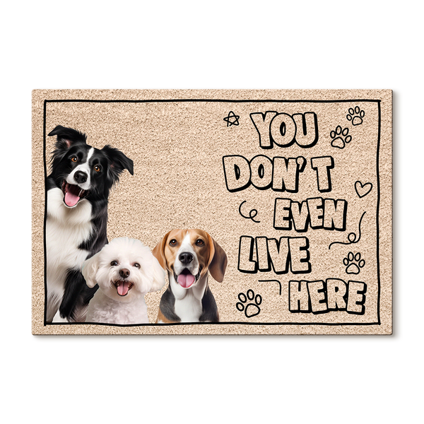 Custom Photo You Don't Even Live Here -  Customized Personalized Doormat - Gift For Pet Dog Cat Lover