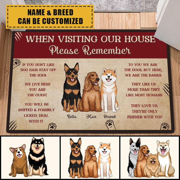 Please Remember When Visiting Dogs House - Pet Doormat - Gift For Dog Lovers Personalized Custom Doormat