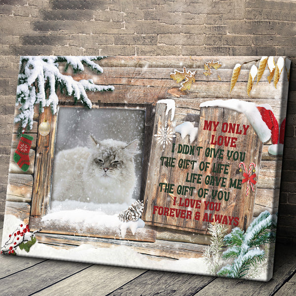 Custom Photo Personalized Canvas Wall Art Christmas Gift Cats By The Window I Love You Forever And Always