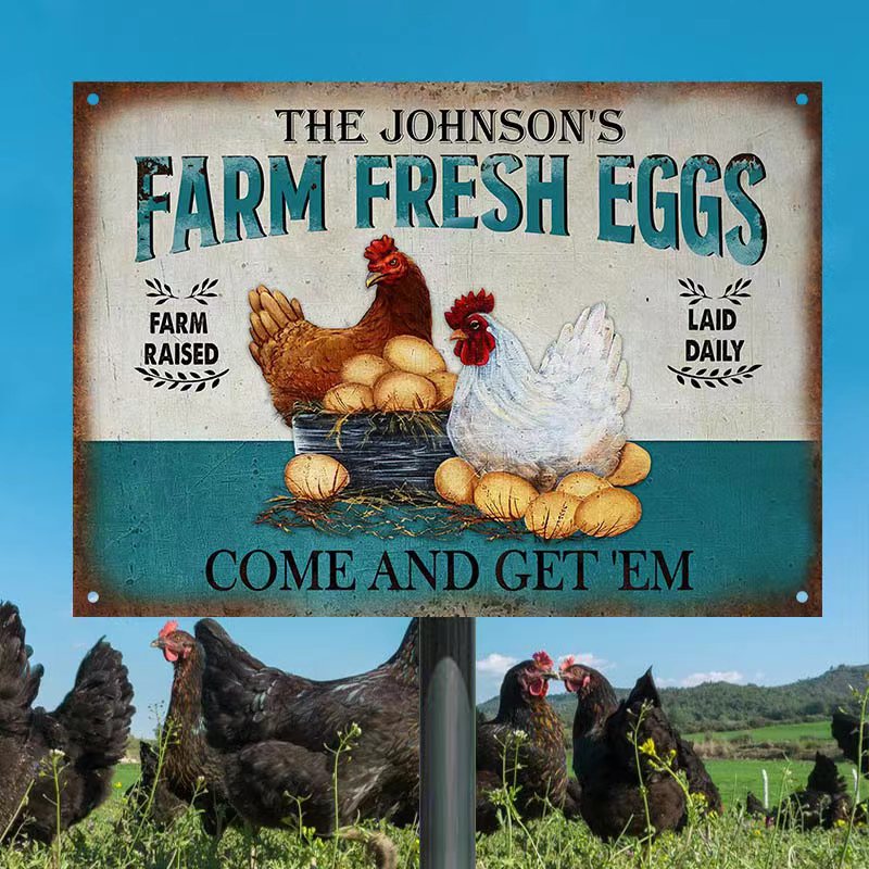 Personalized Chicken Farm Raised Laid Daily Turquoise Customized Classic Metal Signs-Metal Sign-Thesunnyzone